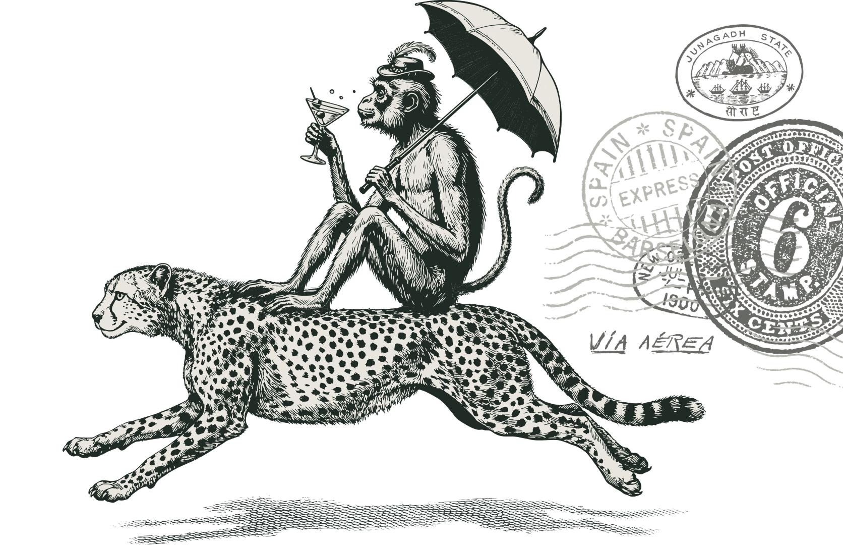 Monkey riding a cheetah
